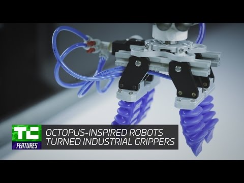 Soft Robotics&#039; octopus-inspired robots industrial grippers