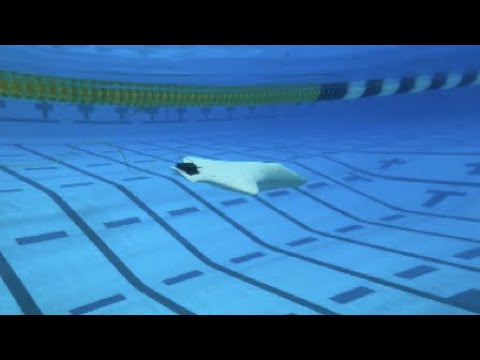 AI-Enhanced Automatic Design of Efficient Underwater Gliders (Director&#039;s cut)