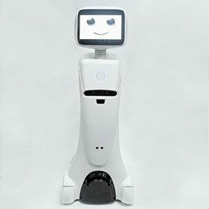 Amy robot