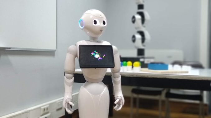 social robot