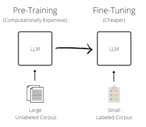 large language model